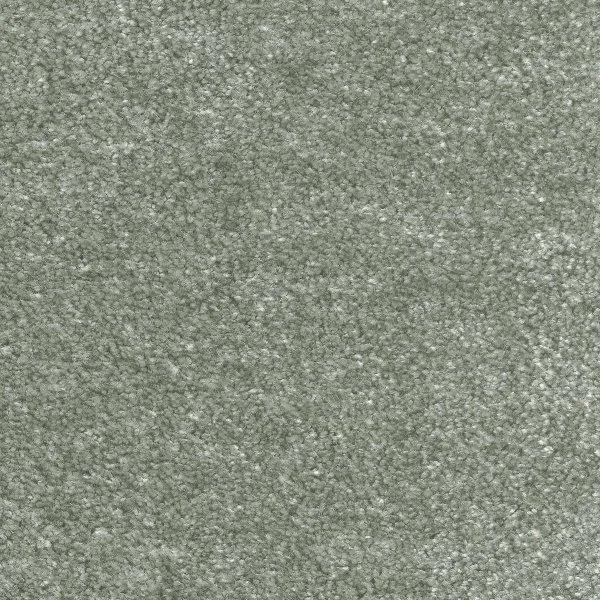 Ковровое покрытие AW Euphoria 28 - (5м) в Барнауле