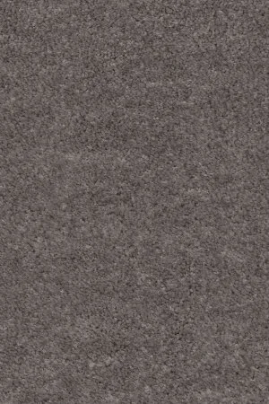 Ковровое покрытие AW Euphoria 45 - (5м) в Барнауле