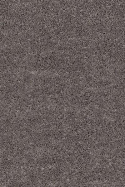 Ковровое покрытие AW Euphoria 45 - (4м) в Барнауле