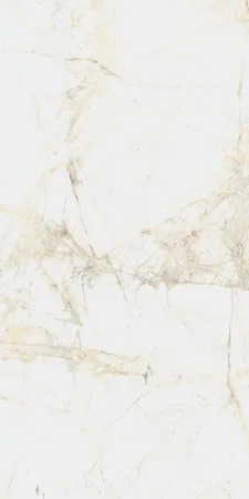 Керамогранит Coliseum Канова Уайт 60х120 (Натуральный и Реттифицированный) в Барнауле