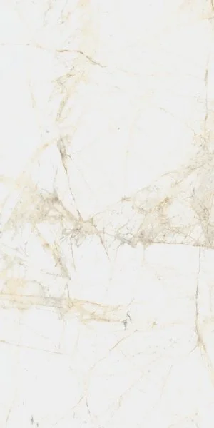 Керамогранит Coliseum Канова Уайт 60х120 (Натуральный и Реттифицированный) в Барнауле