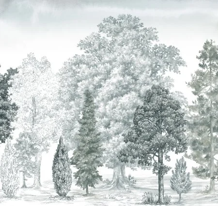 Обои Loymina Пейзаж vol. 2 ART14 011 в Барнауле