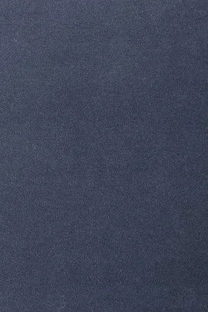 Ковровое покрытие AW Oinone 78 - (4м) в Барнауле