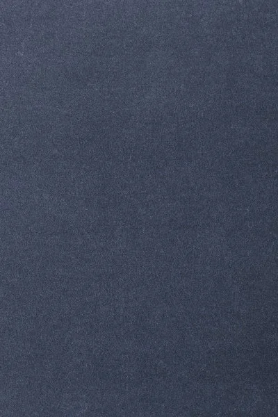 Ковровое покрытие AW Oinone 78 - (4м) в Барнауле