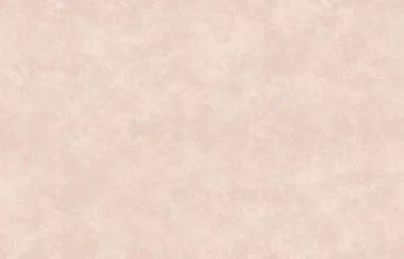 Обои Loymina Stucco STC5 003 в Барнауле