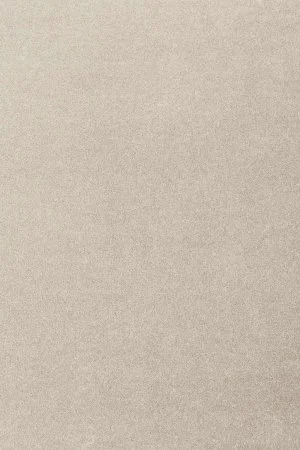 Ковровое покрытие AW Oinone 39 - (4м) в Барнауле