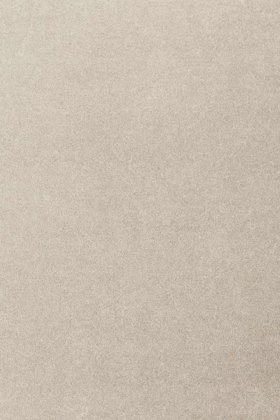 Ковровое покрытие AW Oinone 39 - (4м) в Барнауле