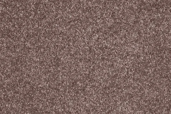 Ковровое покрытие AW Gala 60 - (5м) в Барнауле