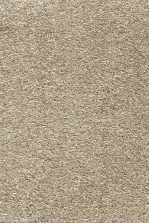 Ковровое покрытие AW Omnia 33 - (3м) в Барнауле